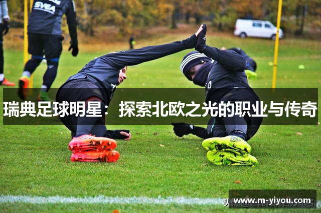 瑞典足球明星：探索北欧之光的职业与传奇