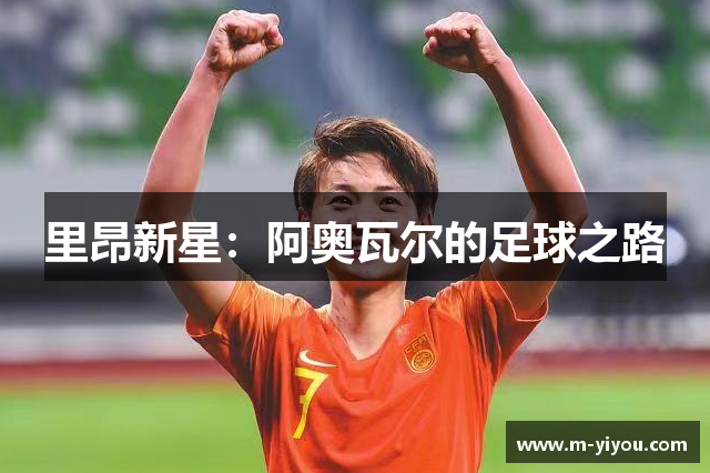 里昂新星：阿奥瓦尔的足球之路