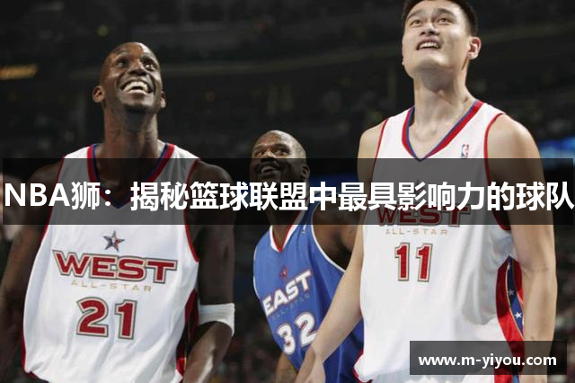 NBA狮：揭秘篮球联盟中最具影响力的球队