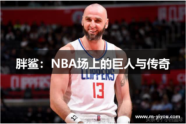 胖鲨：NBA场上的巨人与传奇