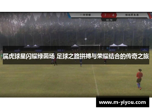 属虎球星闪耀绿茵场 足球之路拼搏与荣耀结合的传奇之旅
